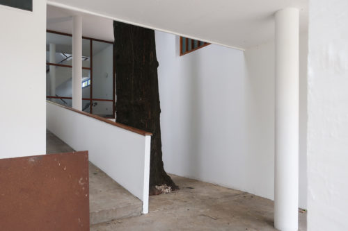 Casa Curutchet – La Plata – WikiArquitectura_034