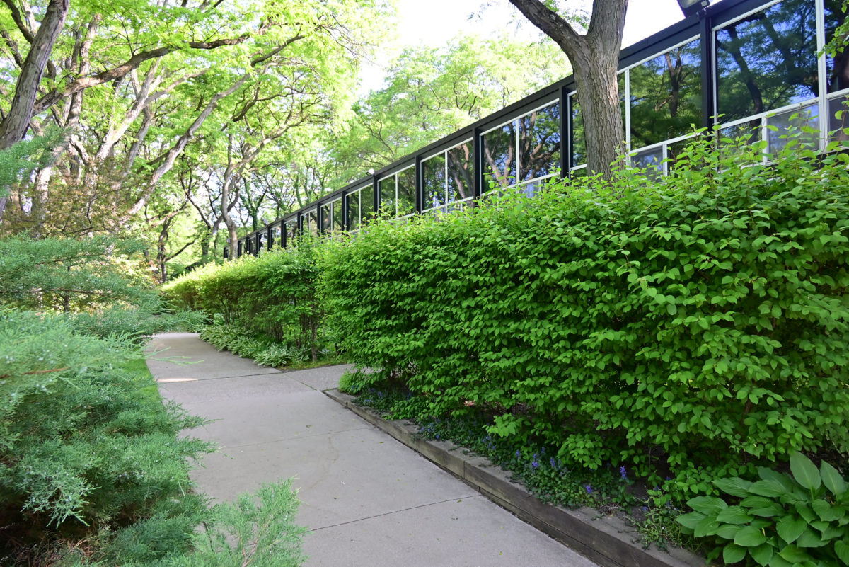 Lafayette park 13