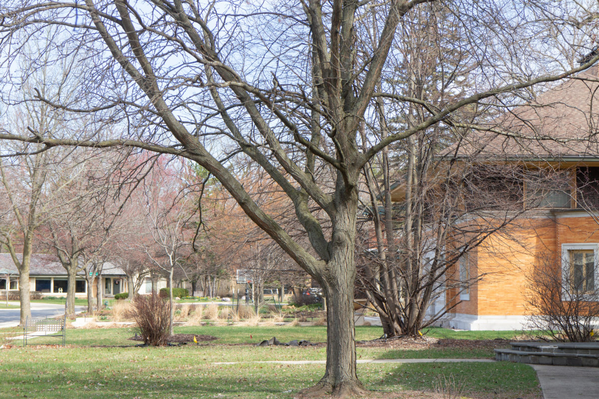 Winslow House – Frank Lloyd Wright – Wikiarchitecture_28